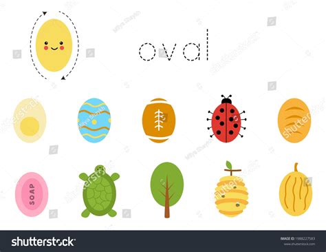 Oval Shape Objects For Kindergarten