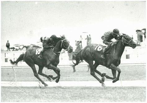 Melbourne Cup winners: 1861 to 2017 - ABC News (Australian Broadcasting ...