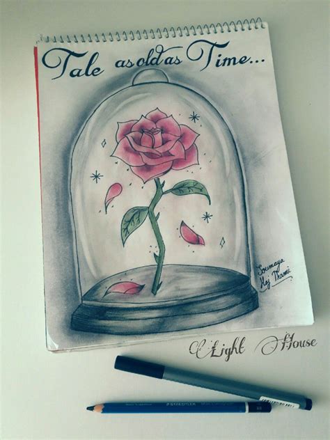 Beauty And The Beast Rose Drawing