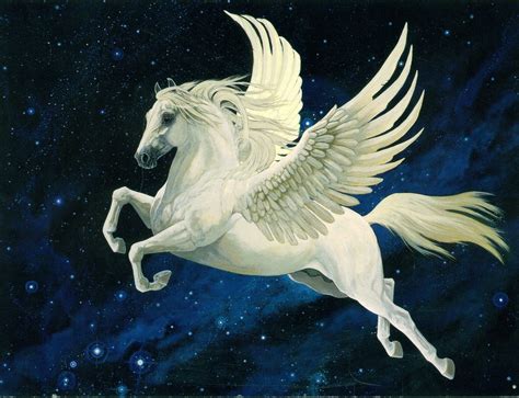 Pegasus - Pegasus Photo (20674573) - Fanpop - Page 5