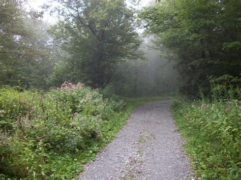 Moses Cone Hiking Trails -- Blowing Rock, NC | HubPages