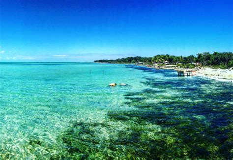 San Pedro, Belize: secret beach, scuba diving and swimming with sharks ...