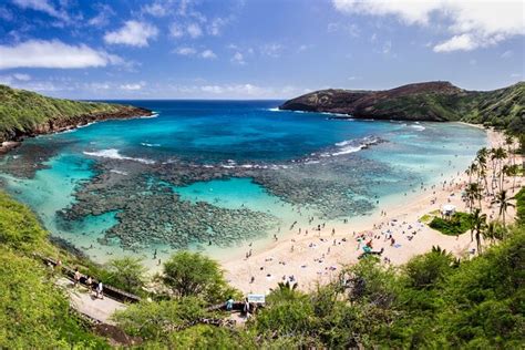 Hanauma Bay Snorkeling Half-Day Tour with Equipment 2024 - Oahu