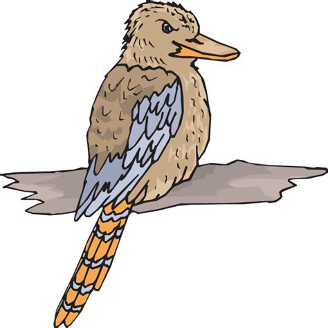 Kookaburra Clip Art at Clker.com - vector clip art online, royalty free ...