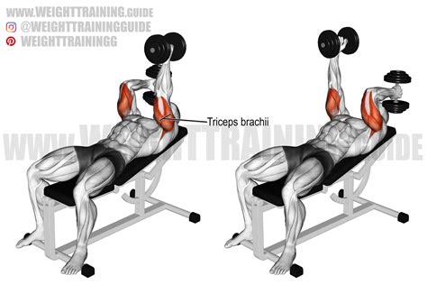 Lying alternating dumbbell triceps extension exercise instructions