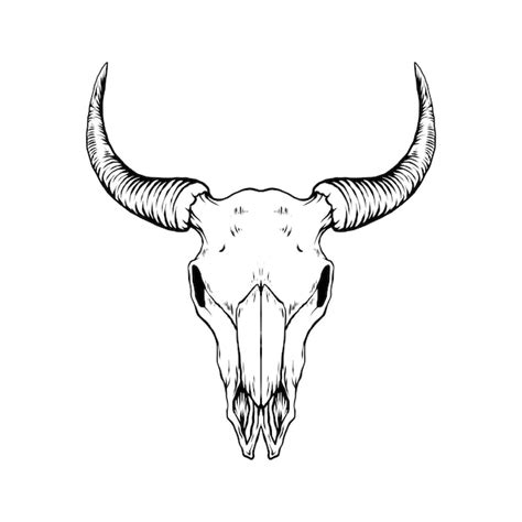 Premium Vector | Bull skull vector illustration