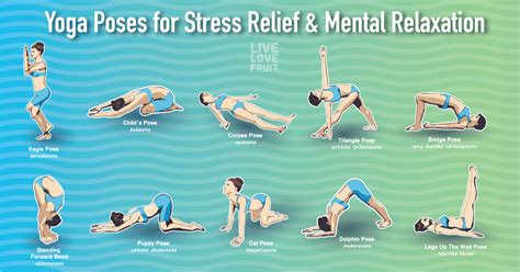 10 Yoga Poses to Reduce Stress, Tension and Promote Mental Relaxation ...