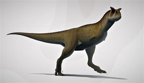 Carnotaurus | Wiki Prehistórico | Fandom