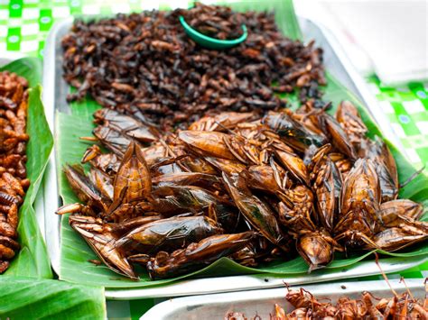 How to try the roasted crickets in Phuket