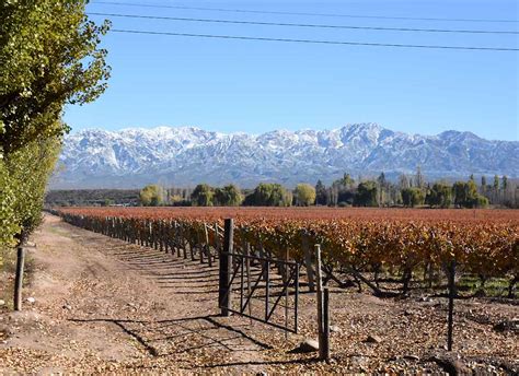 Lujan de Cuyo Wine Tour - Ampora Wine Tours Mendoza