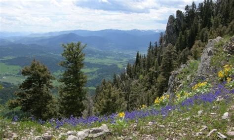 Hike the M near Bozeman Montana - AllTrips