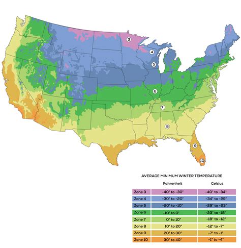 What Are The Different Zones For Planting - Design Talk