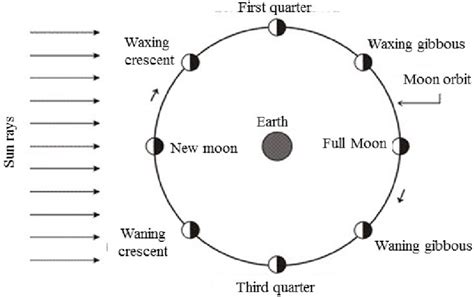 First Quarter Moon Phase Diagram