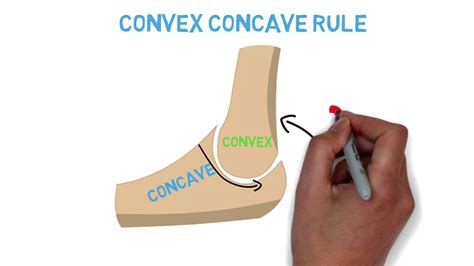 Concave On Convex Rule - soul-focus