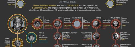 Nelson Mandela family tree infographic - South Africa Gateway