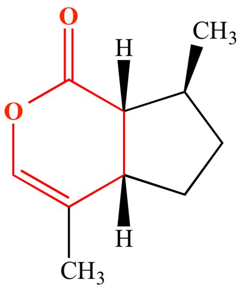 Illustrated Glossary of Organic Chemistry - Lactone