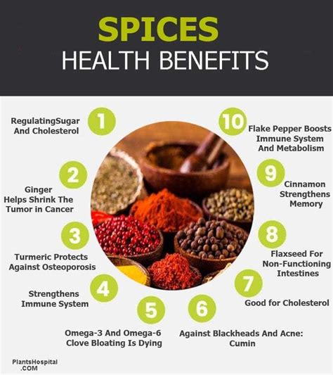 8+ Powerful Health Benefits Of Spices: Uses, Warnings And More