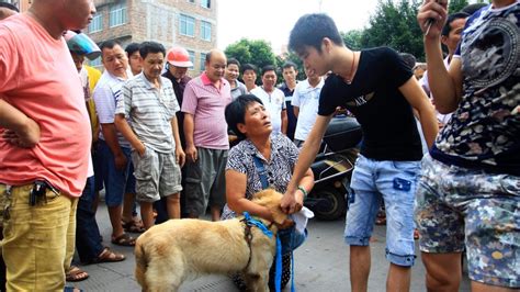 China's Dog Meat Festivals Slowly Losing Popularity