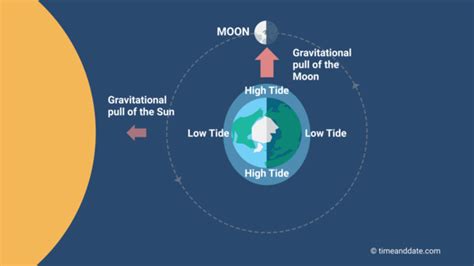 The Moon Causes Tides on Earth