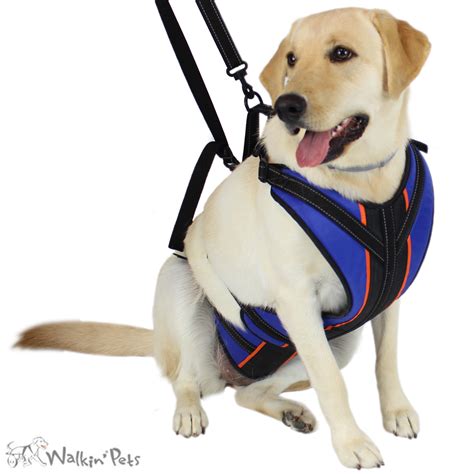 Dog Lift Harness, Pet Rear Support Aid Veterinarian Approved Sling For ...