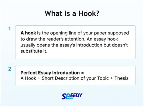 essay the hook nedir