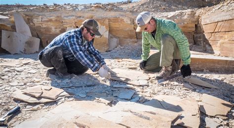 Explore Fossil Basin | Official Travel Info for Kemmerer & Diamondville WY