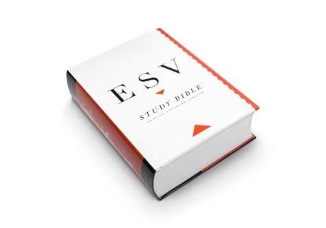 ESV Study Bible Large Print, Hardcover ESV, English Standard Version ...