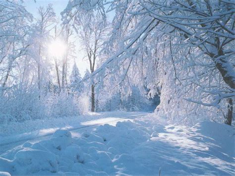 Winter - Nature wallpapers - Crazy Frankenstein