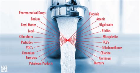 Chemicals in Tap Water: The Shocking Truth of What You’re Really ...