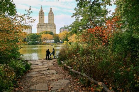 Best Central Park Picnic Spots + Where to Find Picnic Benches