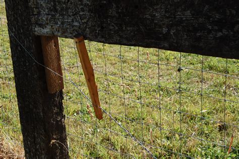 Pasture Fencing Project-Completed – On The Banks of Salt Creek