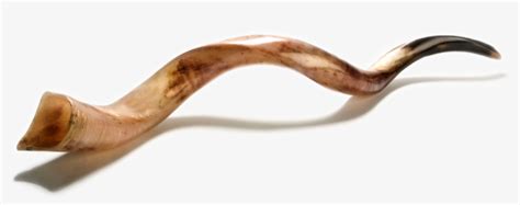 Shabbat - Yom Teruah Shofar Png - Free Transparent PNG Download - PNGkey