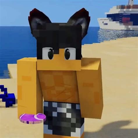 𝗔𝗔𝗥𝗢𝗡𝗦 𝗠𝗜𝗡𝗘𝗖𝗥𝗔𝗙𝗧 𝗖𝗢𝗠𝗠𝗨𝗡𝗜𝗧𝗬 | Wiki | 💜 Aphmau Amino