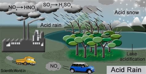 Causes - Acid Rain