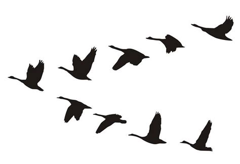 Geese Flying Silhouette Decal Sticker