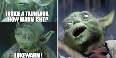 Hilarious Yoda Memes | CBR