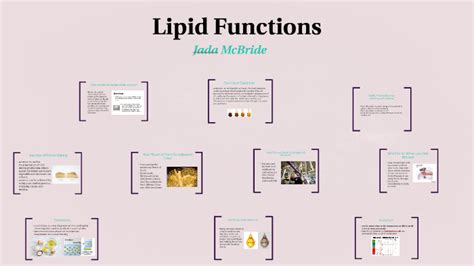 Lipid Functions by Jada McBride on Prezi