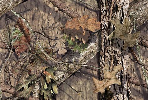 Our Camo Patterns | Mossy Oak