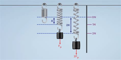 Hooke's Law: Equation, Graph, Experiment, and Examples