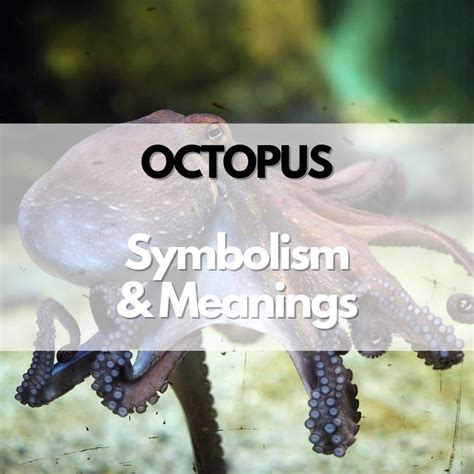 Octopus: Symbolism, Meanings, and History - Symbol Genie