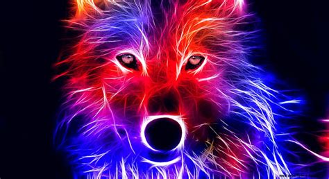 Share 64+ red wolf wallpaper - in.cdgdbentre