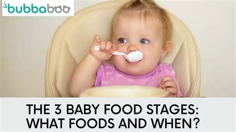 PPT - The 3 Baby Food Stages: What Foods And When? PowerPoint ...