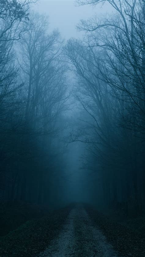 Bhoot, Darkness, Forest, HD phone wallpaper | Peakpx