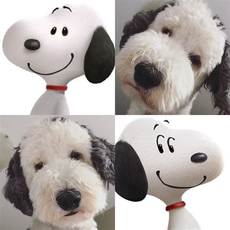 ☆Too cute 😘😘Will the real Snoopy please stand up #theinternethasspoken ...