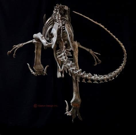 Utahraptor Skeleton | Gaston Design, Inc.