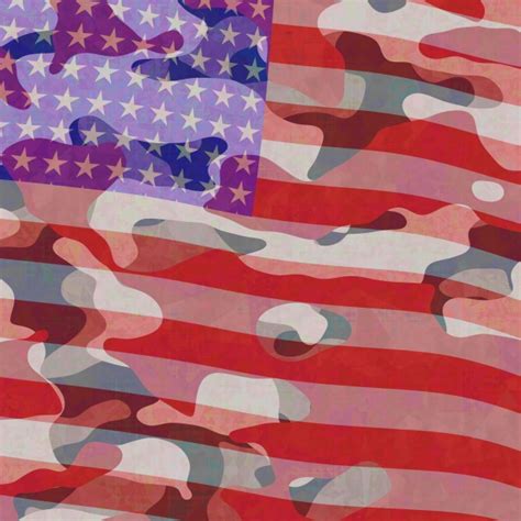 American Flag With Camo Design Free Stock Photo - Public Domain Pictures