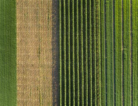 Aerial view of agricultural fields at beautiful Karditsa region in ...