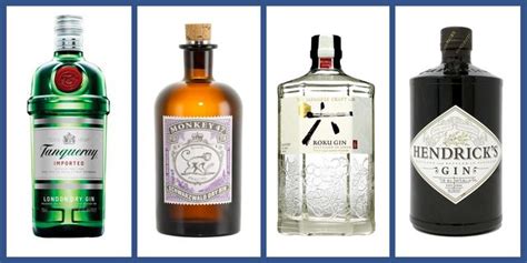 17 Best Gin Brands 2023 - Top Gin Bottles to Buy for Gin and Tonics