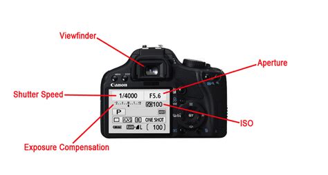 Understanding Your Camera's Settings: There's More To Taking Pictures ...