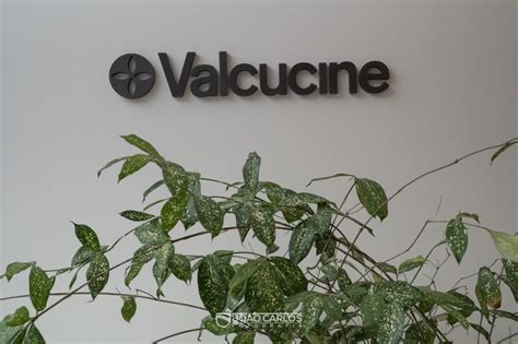 New Valcucine store opening in Brazil | Valcucine Magazine